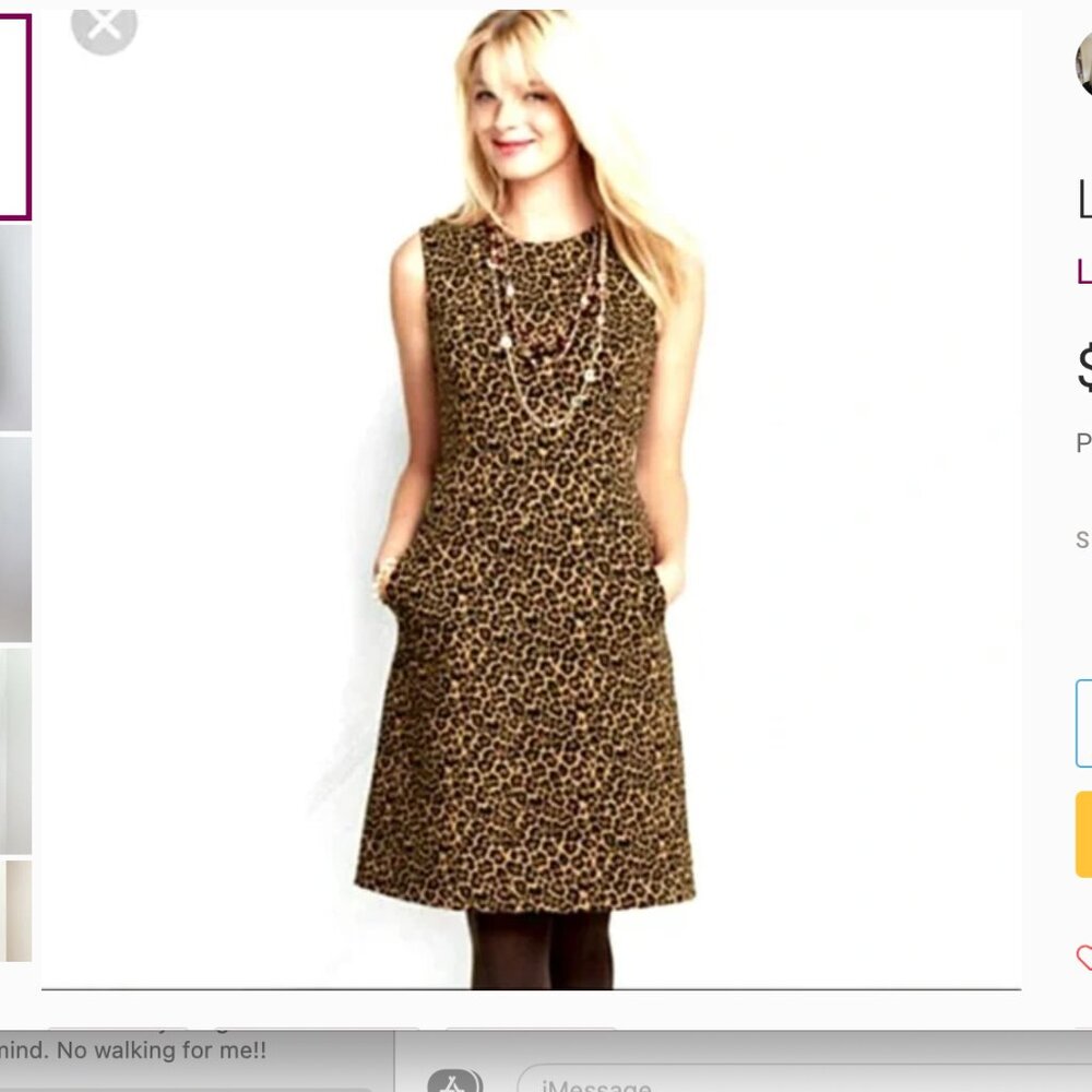Lands' End Leopard Print Dress With Pockets Size 6